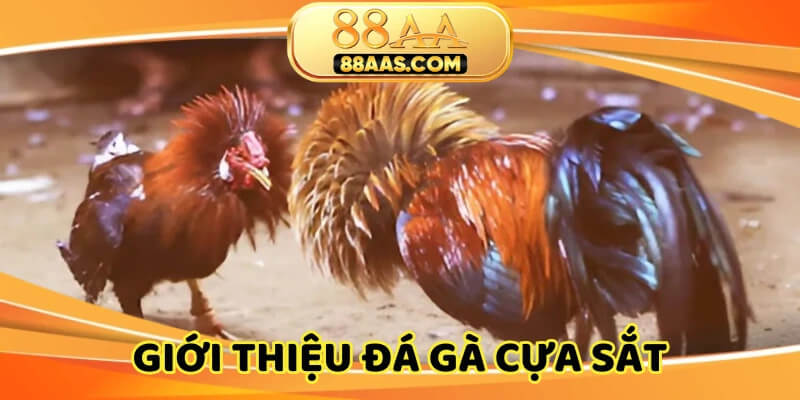 Hình thức thú vị với từng đợt ra đòn bất ngờ