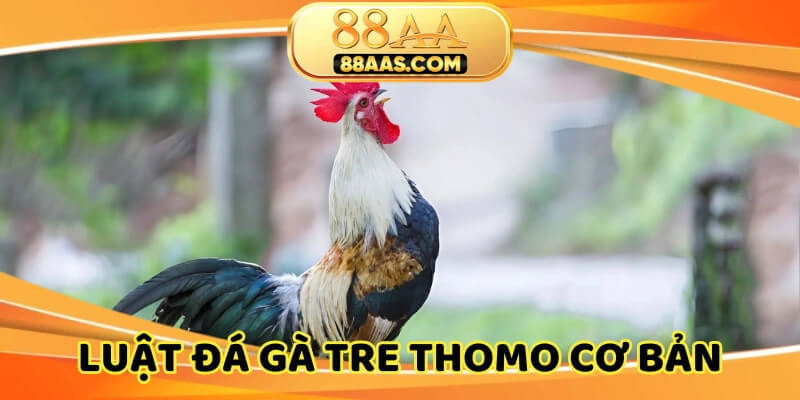 Luật đá cơ bản cho tại sới Campuchia